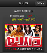 ヤリパラのサイト画像